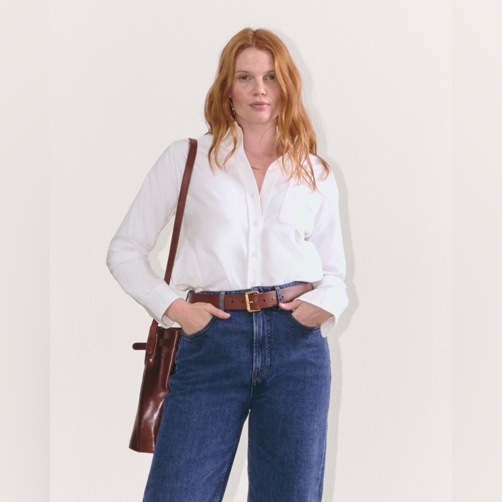 Everlane The Must-Have Oxford Shirt
